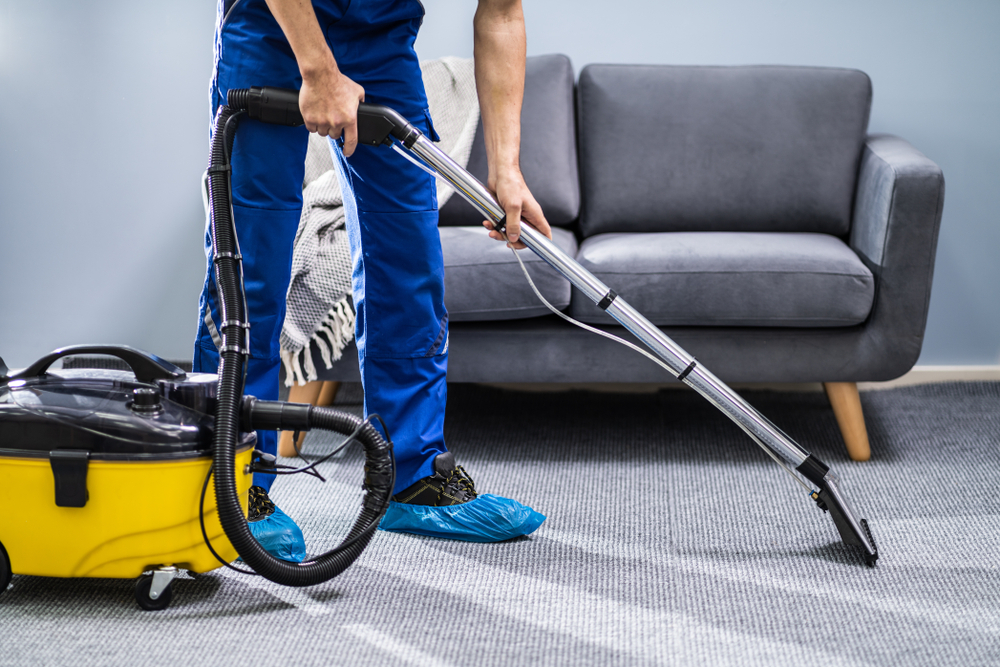 Perfect Home Cleaning: Carpet and Humidity Solutions for Toronto Residents